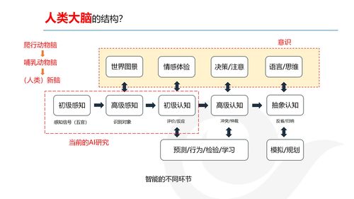 AI產(chǎn)品經(jīng)理的發(fā)展與規(guī)劃 網(wǎng)絡(luò)技術(shù)開發(fā)視角